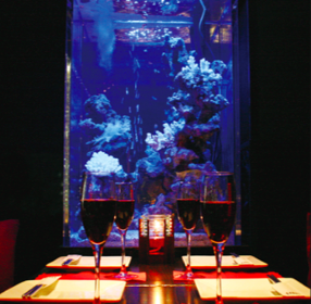 隠れ家個室居酒屋 うまいもん 福岡天神店の画像