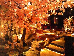 川の音　赤坂の画像