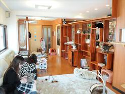 Cat　Cafe＆Salon　猫の手の画像