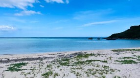 泡盛と干物 魚天の画像