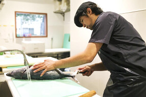 sakana bacca 中延の画像