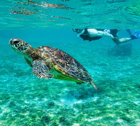 シギラセブンマイルズリゾート内『てんぷら天翔宮古島』の画像
