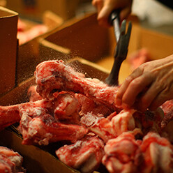 神保町 可以の画像