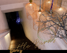 little Birdsの画像