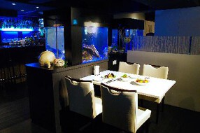 Dining Bar Aquariumの画像