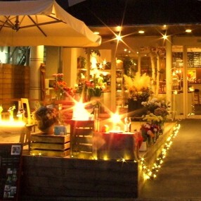 クラゲストアの画像