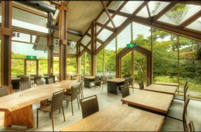  Cafe & Restaurant  greenhouse Collabo　 の画像