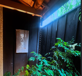 東麻布 天本の画像