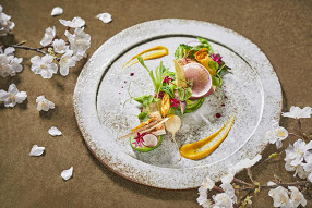 KOTOWA 奈良公園 Premium Viewの画像