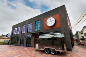 コノユビトマレの画像