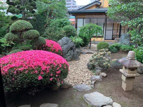 割烹 川島の画像