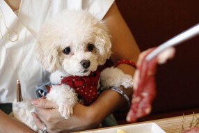和味焼肉 うしすけ本店の画像