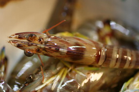 てんぷら　玉好の画像