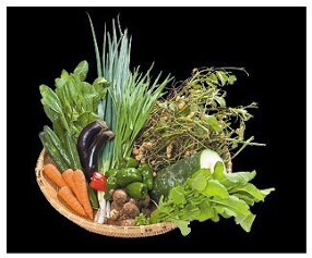 ホルモンやきそば鉄家の画像