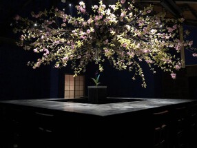 日本酒バー〇 青山店の画像