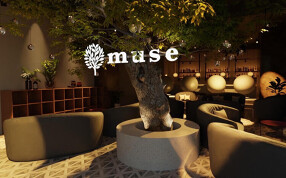 シーシャバーmuse　歌舞伎町店の画像