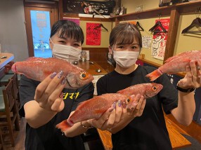 シマネヤの画像