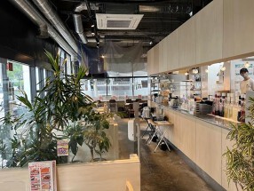 シュワトリの画像