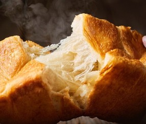 箕面デニッシュ　サトウカエデの画像