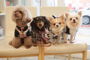 わん子ん家　ひまカフェの画像