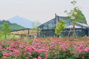 Restaurant Rose Farm Houseの画像