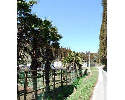 じとっこ　六本木店の画像