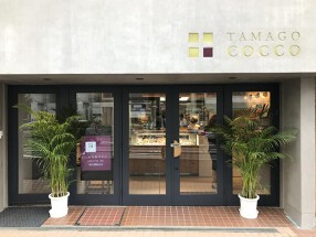 TAMAGO COCCOの画像