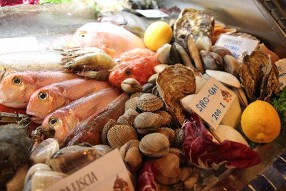 ボガマリ・クチーナ・マリナーラの画像