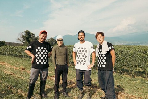 クレイジーヌードルインターナショナルの画像