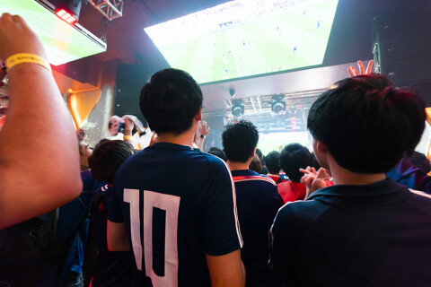 【新店】スタジアム（仮）の画像