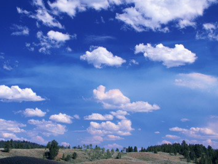 袖ヶ浦カンツリークラブ 袖ヶ浦コースの画像