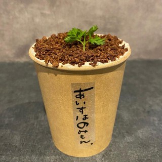 あいすはのみもん.の画像