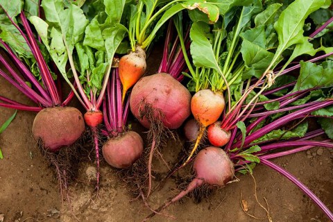 ワインバル　くにたち村酒場の画像