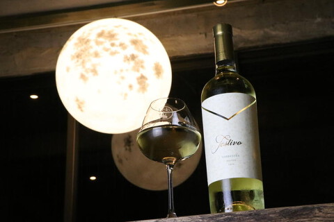 cafe&wine Mamma Mia LABORATORY なんてこった研究所の画像