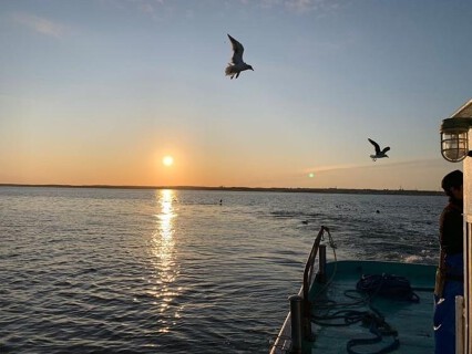 2019年10月下旬オープン〜海息吹（みぶき）〜【海の実りをふんだんに使った四季折々の料理】の画像