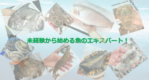 株式会社岩田の画像