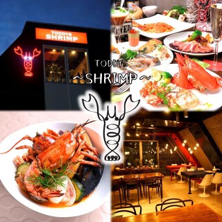TODDYS SHRIMPの画像