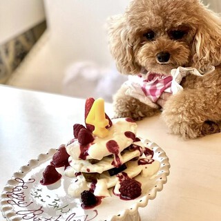 COCOcafe 弥生町店の画像