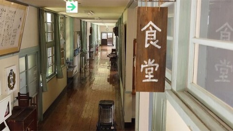 星ふる学校くまの木の画像