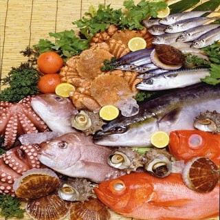 葛西鉄板酒場　さっさ(仮)の画像