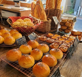 callas painの画像