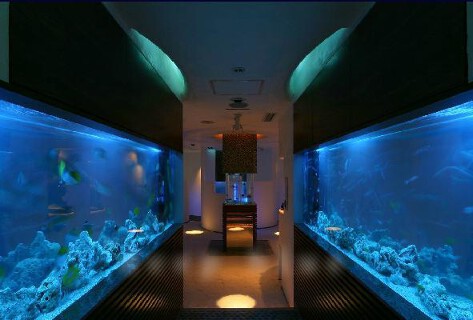 deep blue 横浜の画像