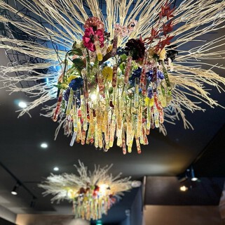 創咲鮨　花かれんの画像