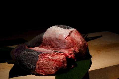 TANAKA 海外店（愛知県研修）の画像