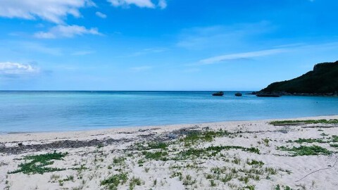 泡盛と干物 魚天の画像