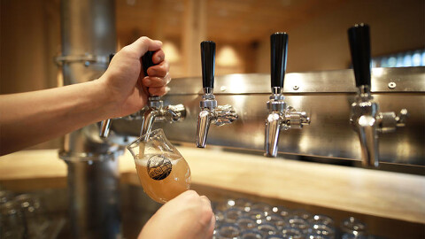 麦酒堂かすがいの画像