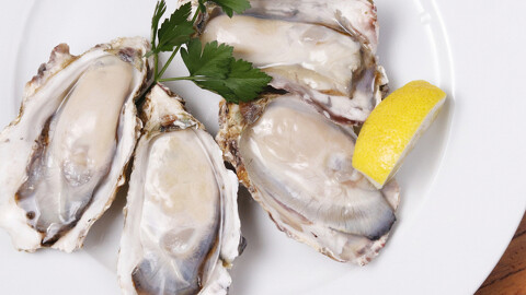 Oyster House Pisca白楽店の画像