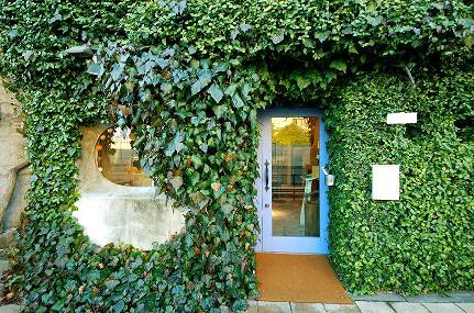 木を植えるレストラン オーロラ 福生店の画像