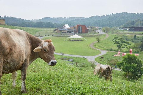 KURKKUFIELDSの画像