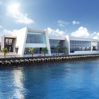 アマンダンカルムの画像